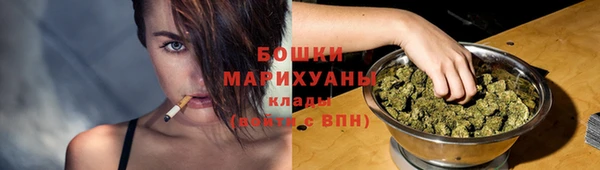 стаф Пестово