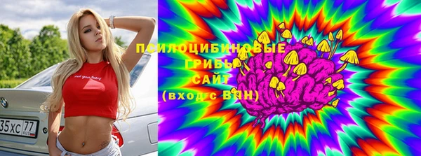 кристаллы Гусь-Хрустальный