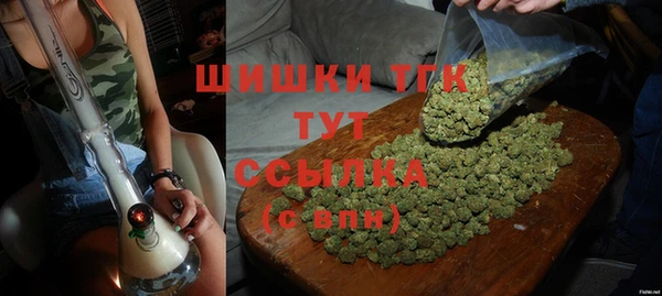 стаф Пестово