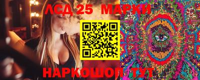 хмурый Абакан