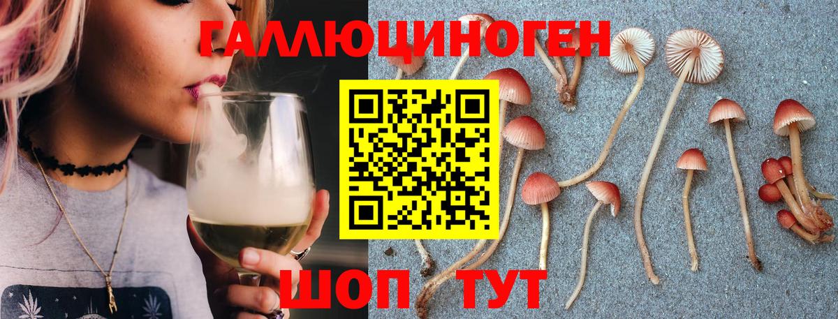 Псилоцибиновые грибы Psilocybine cubensis  Вход с VPN  Псилоцибиновые грибы Magic Shrooms  Алексин 