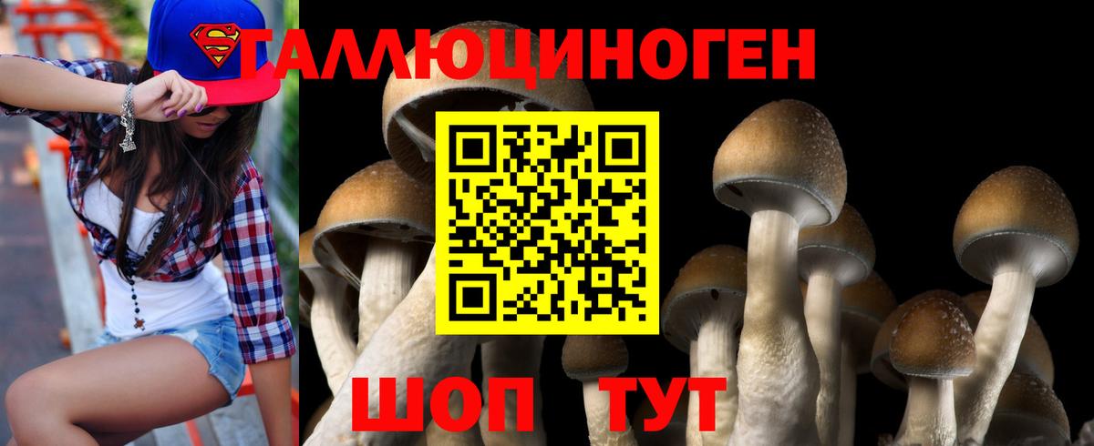 Галлюциногенные грибы MAGIC MUSHROOMS  Алексин  Галлюциногенные грибы Psilocybine cubensis 