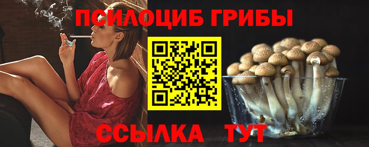 Алексин  Галлюциногенные грибы Cubensis  Вход с VPN 